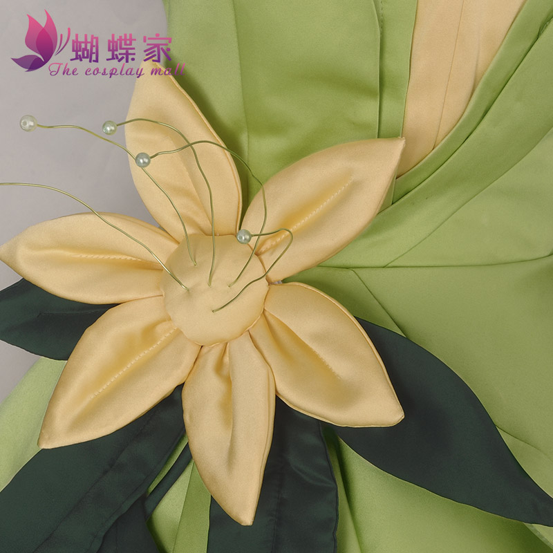 Robe de princesse Tiana, Costu - Men Accessories For Party avis et prix