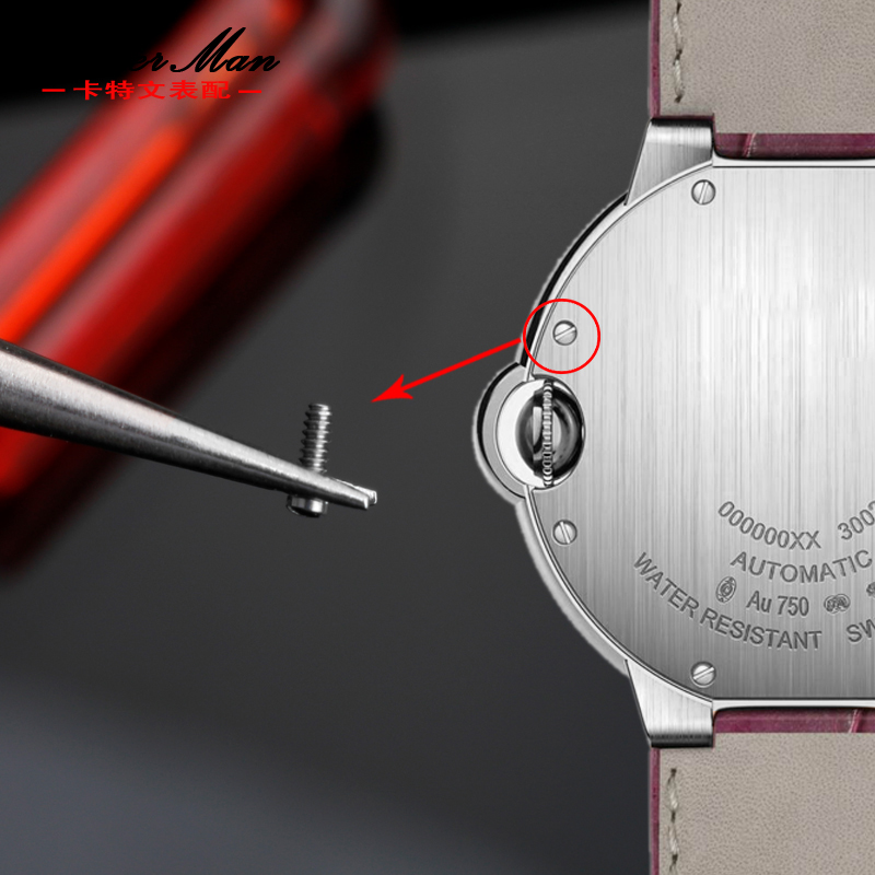 Vis de montre pour Cartier bal - Men'S Accessories Cartier avis et prix