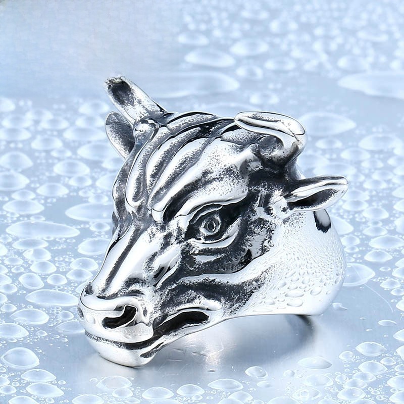 Bague en acier titane style ex - Men Accessories Online avis et prix